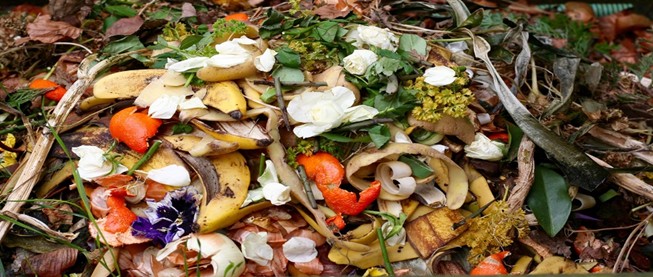 ขยะเปียก ขยะเปียกย่อยสลายได้ เป็นปุ๋ยได้