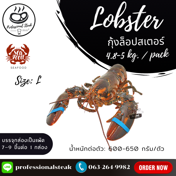กุ้งล๊อบสเตอร์ทั้งตัวดิบ (Lobster) (600-650G/PC, 5 KGS./CTN)