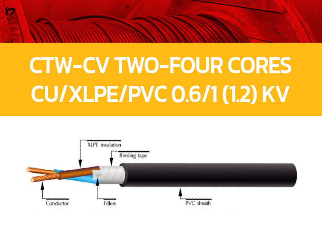 CTW-CV Two-Four Cores CU/XLPE/PVC 0.6/1 (1.2) kV
