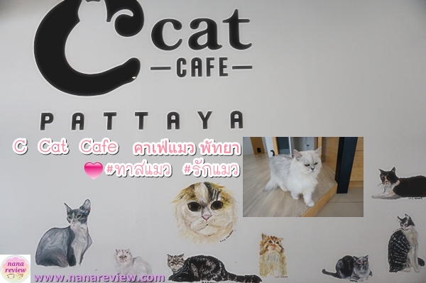 C Cat Cafe Pattaya