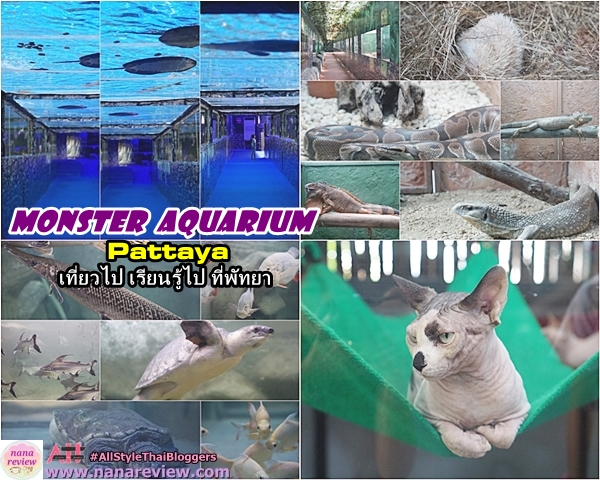 Monster Aquarium Pattaya 