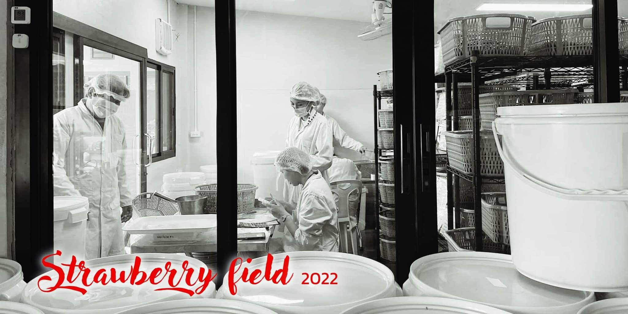 Strawberryfield 2022 : กระดาษมิใช่กระดาษ
