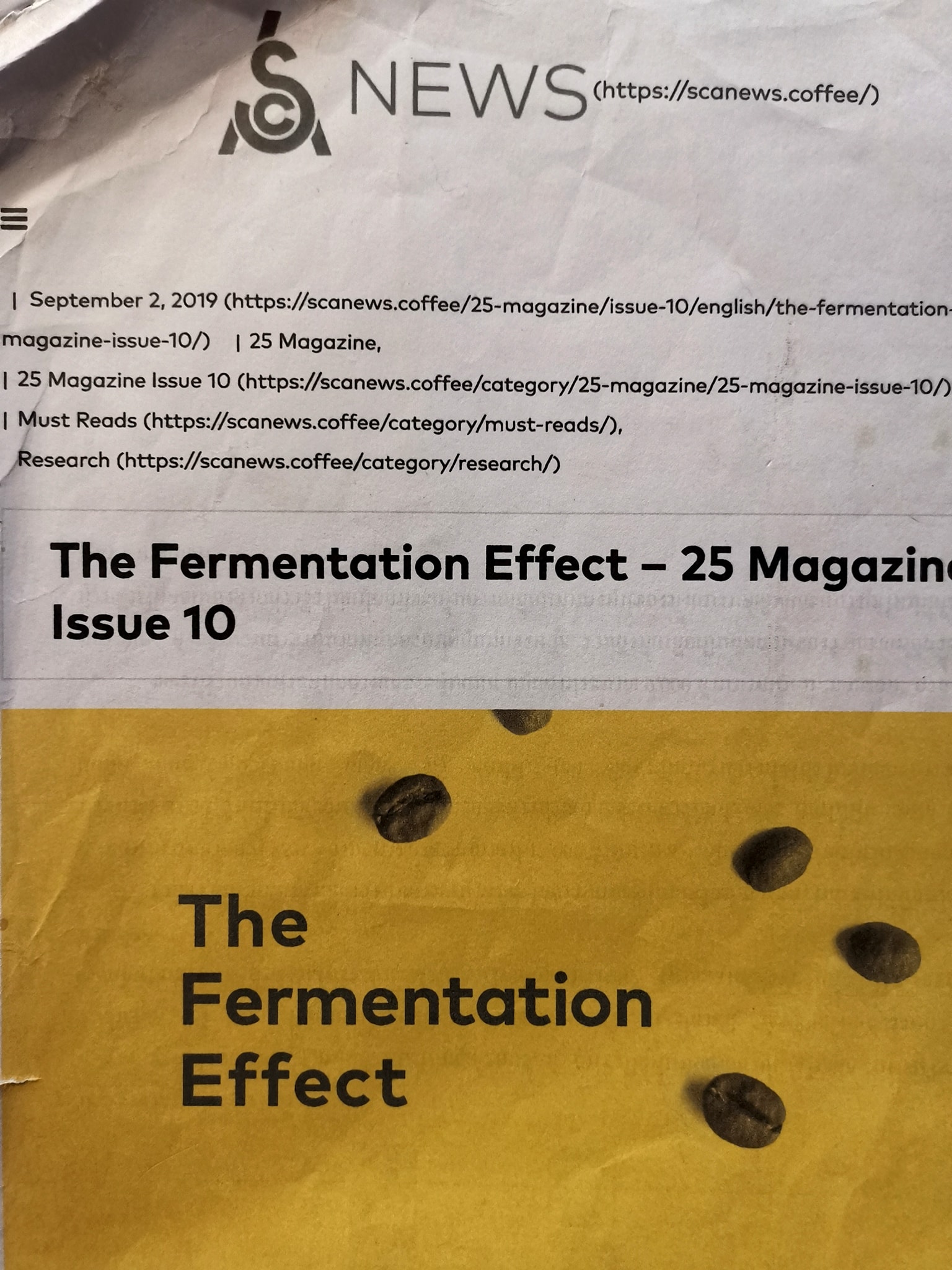 The Fermentation effect: อิทธิพลของ Fermentation