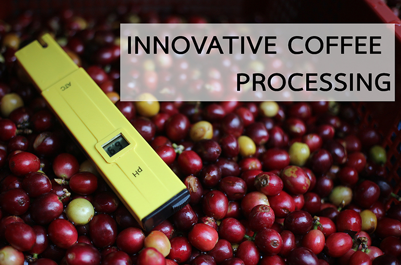 Innovative Coffee Processing