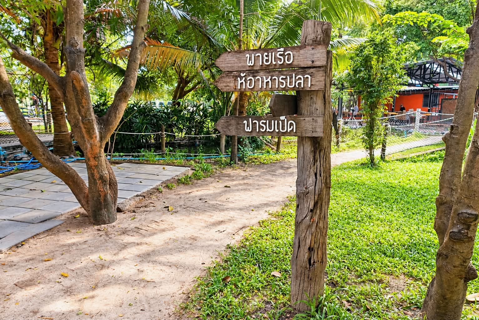 สนามเด็กเล่นทำฟาร์มดี สนามเด็กเล่นบรรยากาศดี ๆ ที่ทำฟาร์มดี