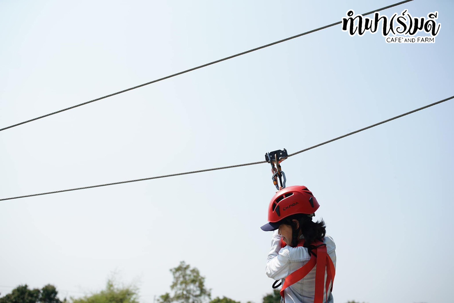 zipline กิจกรรมแอดเวนเจอร์ ซิปไลด์