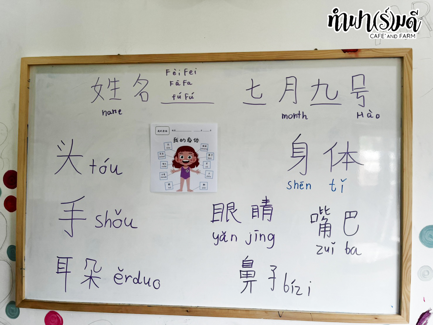 Fun Run Learn  Chinese Class(week 3)