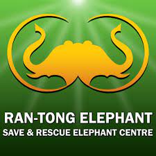 Ran-Tong Elephant .Care Program + Rafting