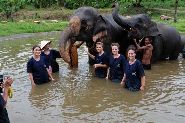 ดูแลช้างครึ่งวันตอนเช้า Elephant Care Project