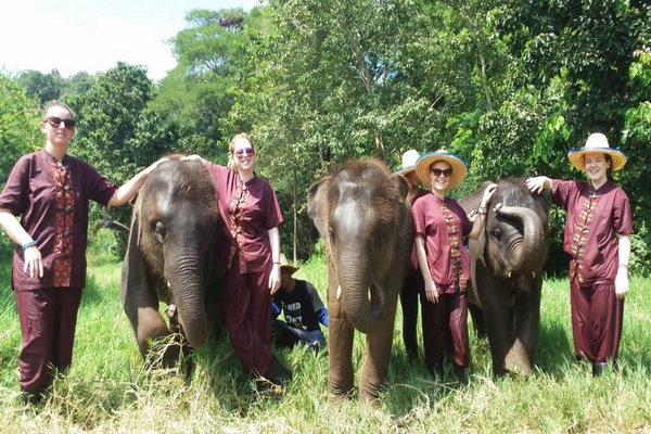 照顾大象半日游下午（没有骑大象) Elephant Rescue Park (A)