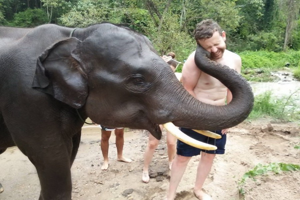 ดูแลช้างเต็มวัน (ไม่มีขี่ช้าง) Hug Elephant Sanctuary