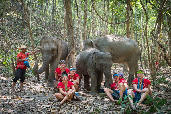 ดูแลช้างครึ่งวันตอนเช้า Into The Wild Elephant Camp