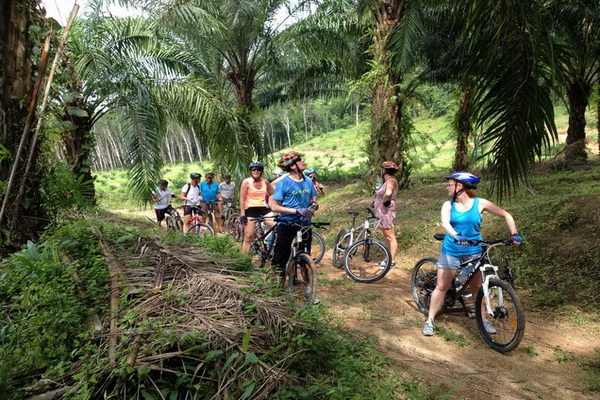 One Day Jungle Cycling Tour