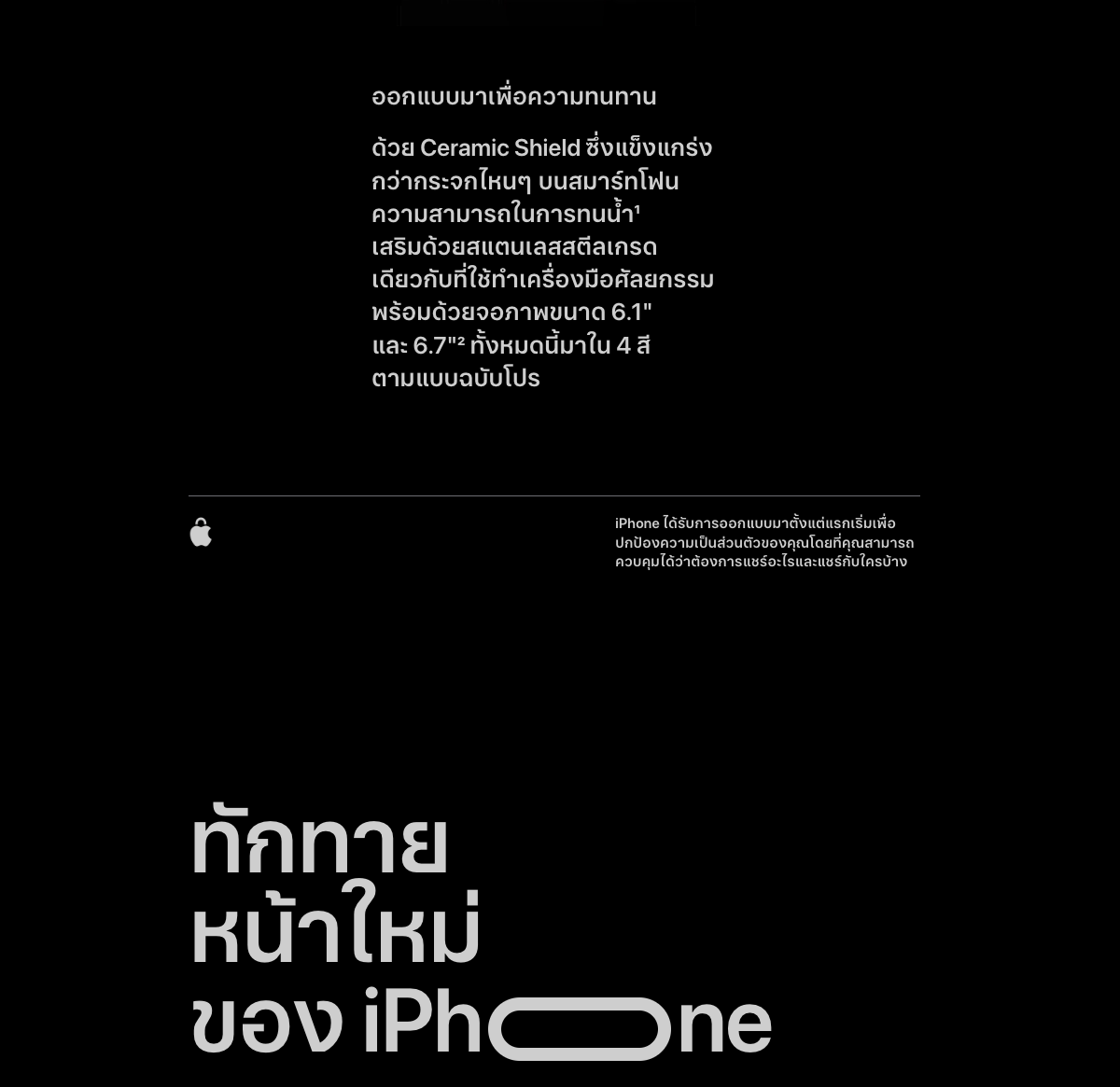 iPhone 14 Pro / 14 Pro Max panthera iPhone 14 Pro / 14 Pro Max panthera