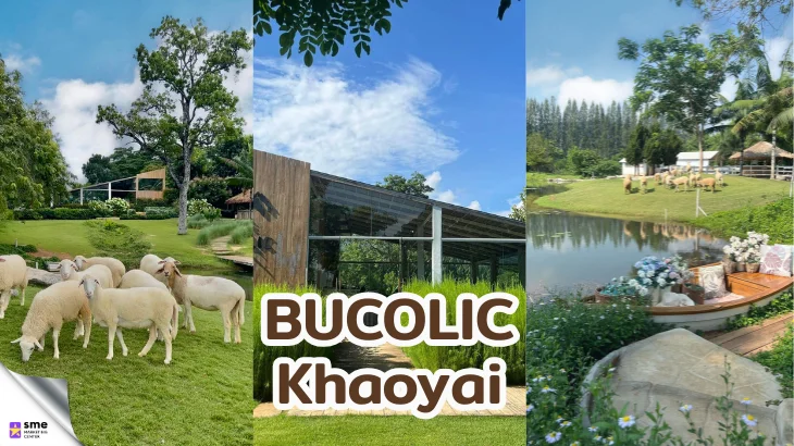 คาเฟ่ ปากช่อง BUCOLIC Khaoyai