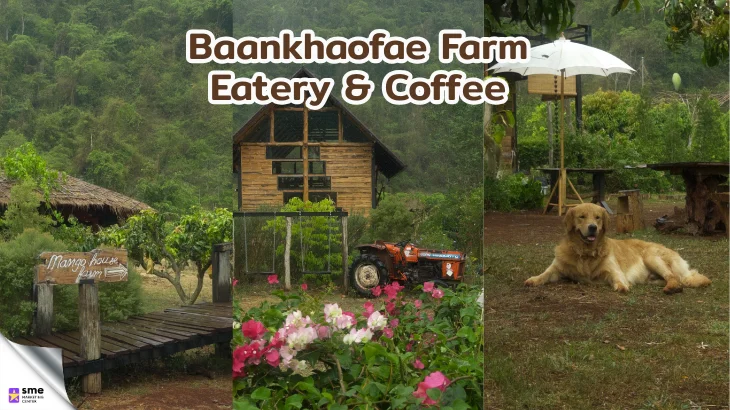 คาเฟ่ ปากช่อง Baankhaofae Farm Eatery & Coffee