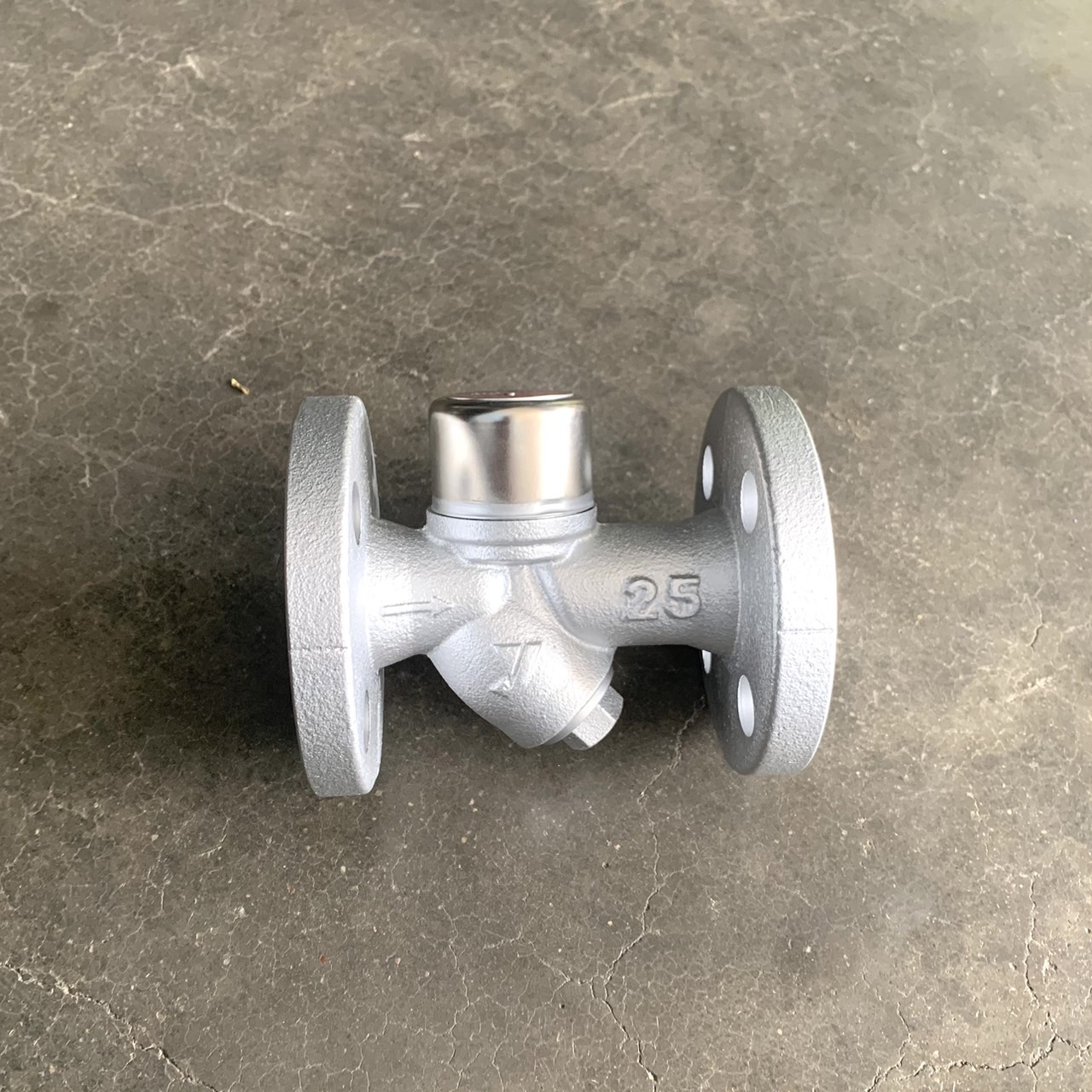 วาล์วดักไอน้ำ (สตีมแทรป) รุ่น TD-30NA - Yoshitake