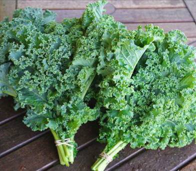 Curl leaf kale - freshlyfoods-thailand