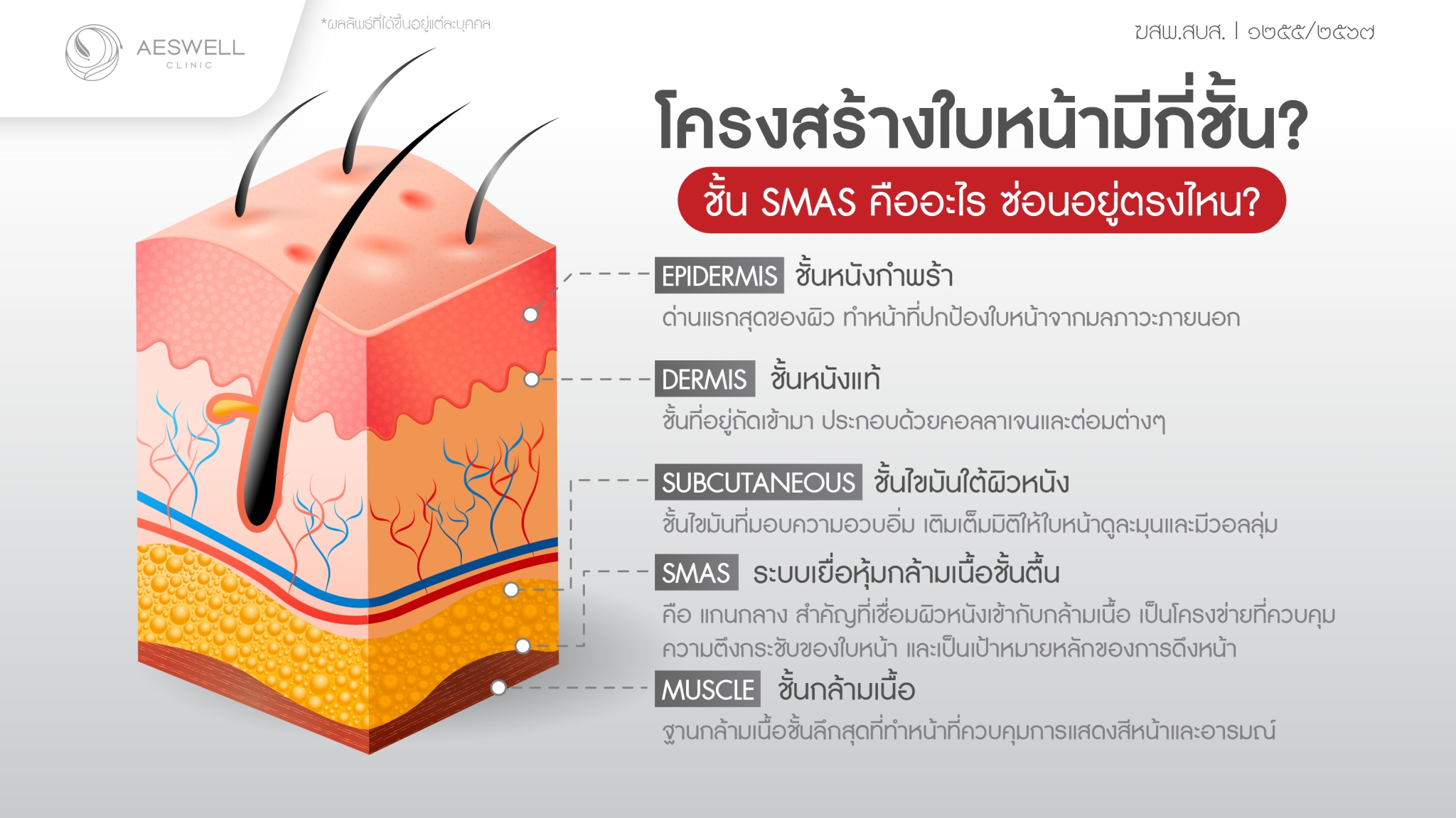 โครงสร้างใบหน้ามีกี่ชั้น? ชั้น SMAS คืออะไร ซ่อนอยู่ตรงไหน?