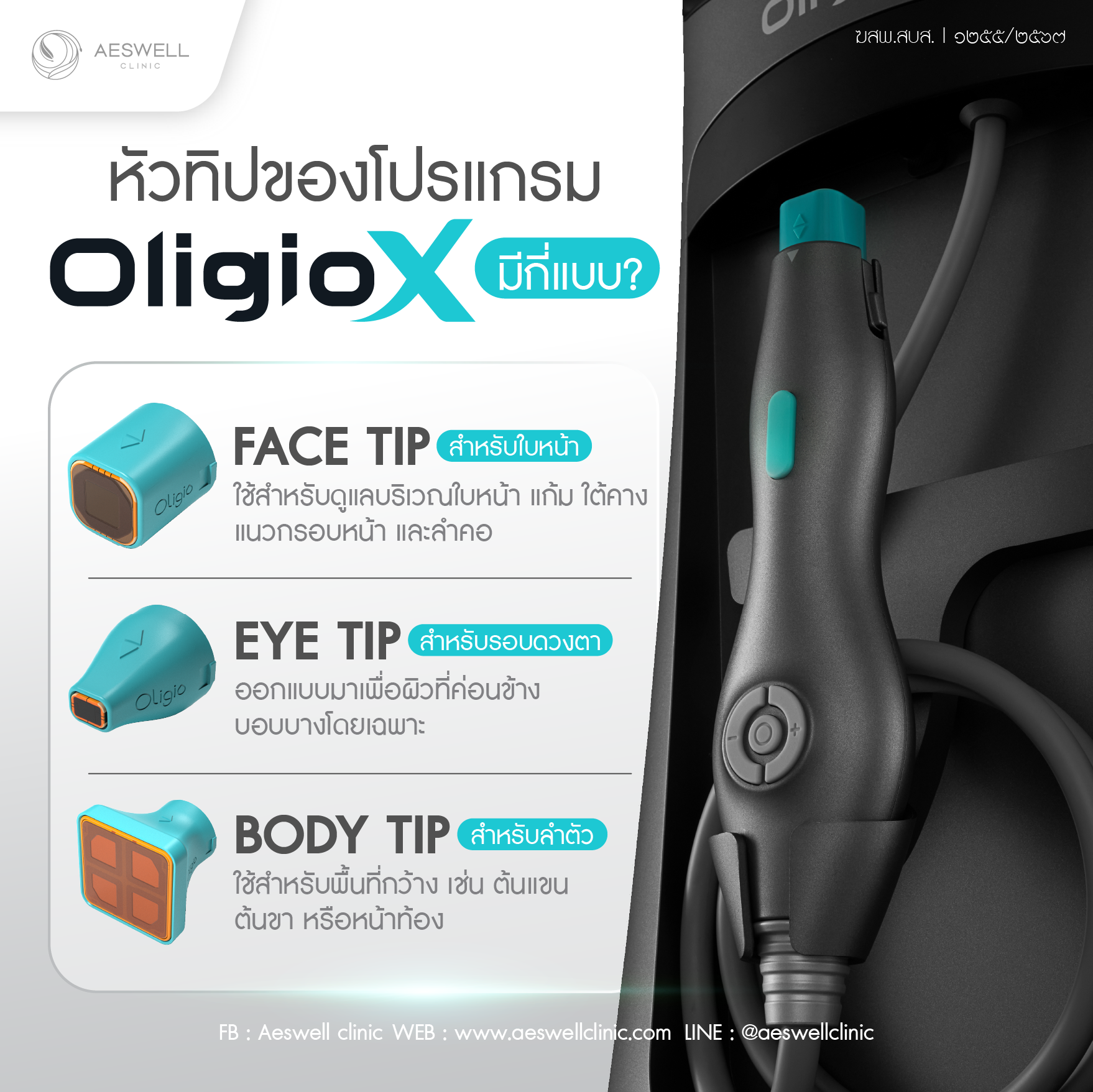 หัวทิปของ โปรแกรม Oligio X มีกี่แบบ?