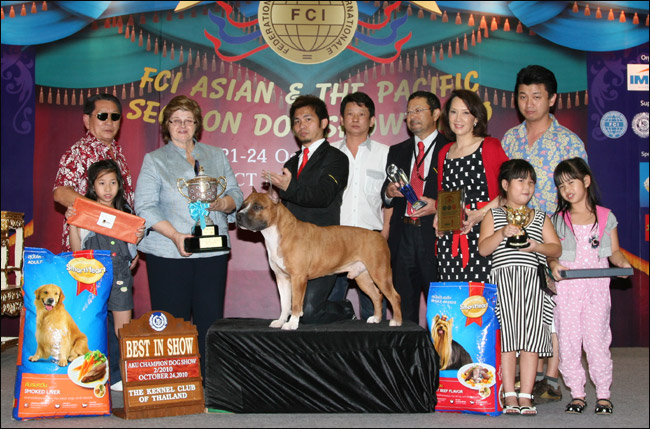 AM.TH.GRAND CH. DOGGY WORLD'S APPLE JACK JUNIOR