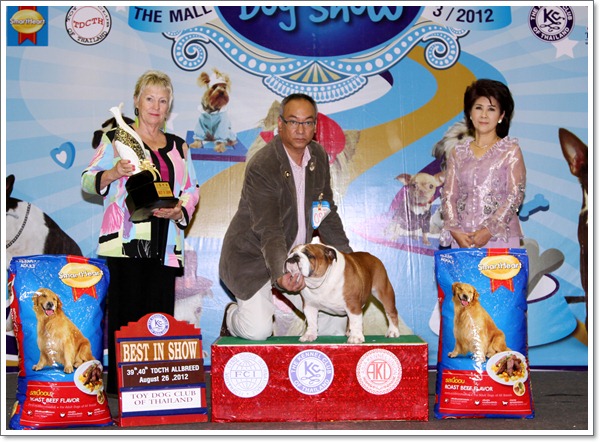 Best in Show,BULLDOG,TH.GRAND.CH.AM.GRAND.CH.BULLY HILLS JAMES DEAN