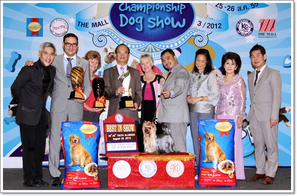 Best in Show,TH.GRAND.MAL.IND.CH.NANETTE'S OCTOBER SAND DUNE