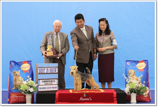 Skalk Der er en tendens Synlig Champion Of Champions Dog Show 2015_AB1 - Thailanddogshow