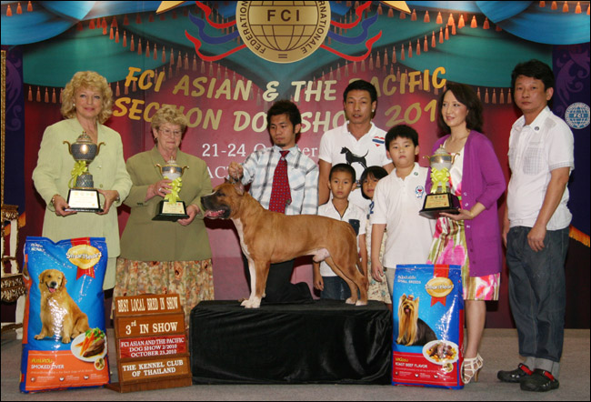 AM.TH.GRAND CH. DOGGY WORLD'S APPLE JACK JUNIOR