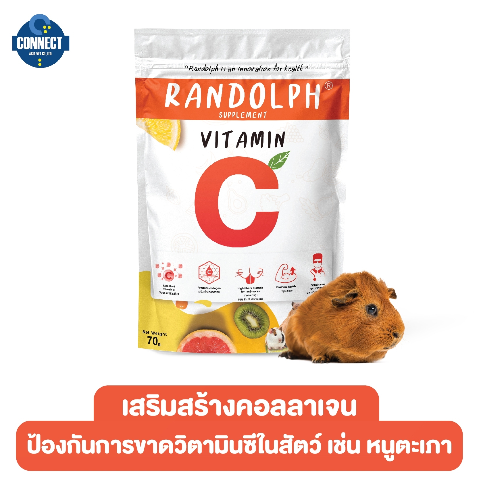 RANDOLPH - อาหารเสริมฟื้นฟูบำรุงสุขภาพสัตว์กินพืช วิตามิน ซี ขนาด 70 กรัม.