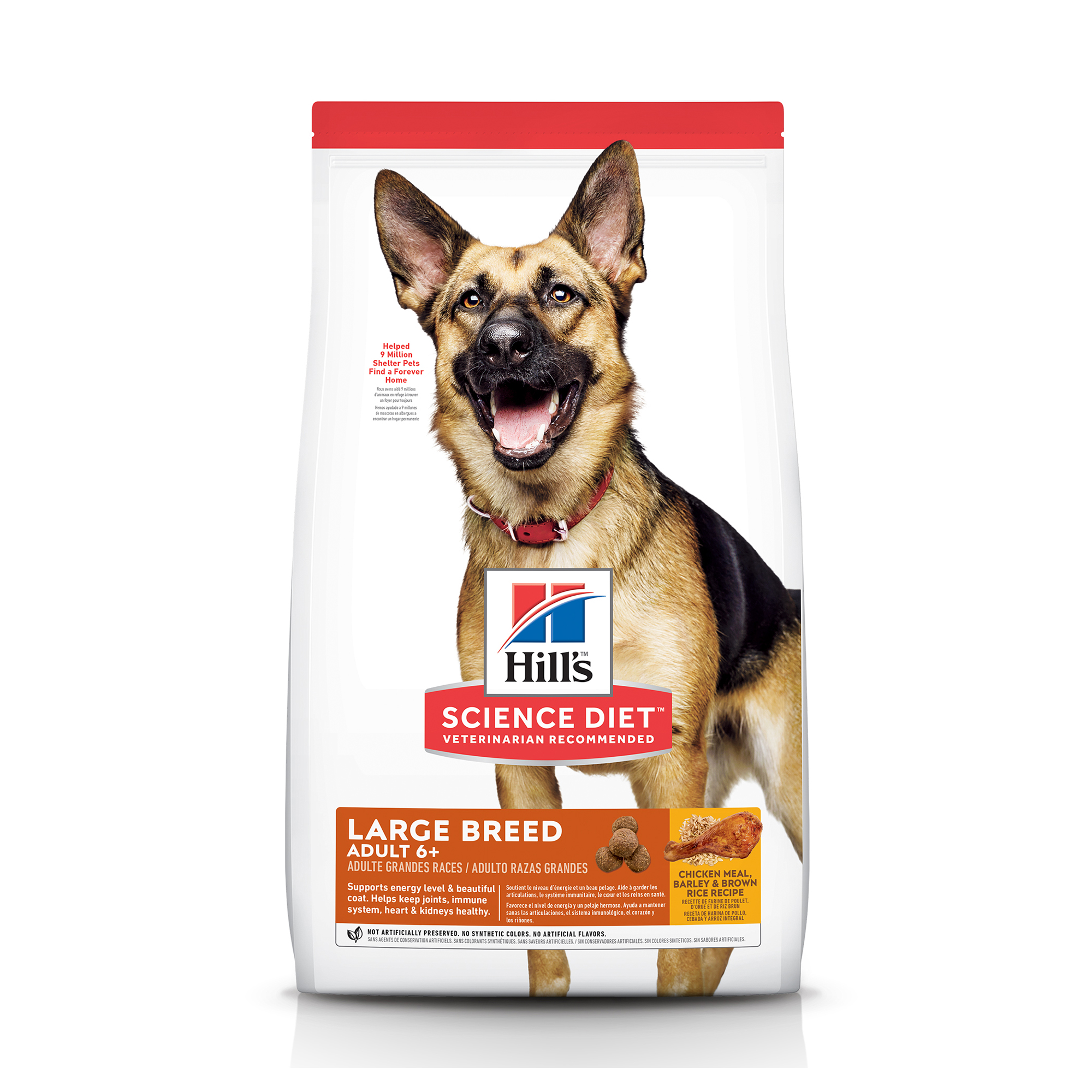 weight loss dog food for older dogs