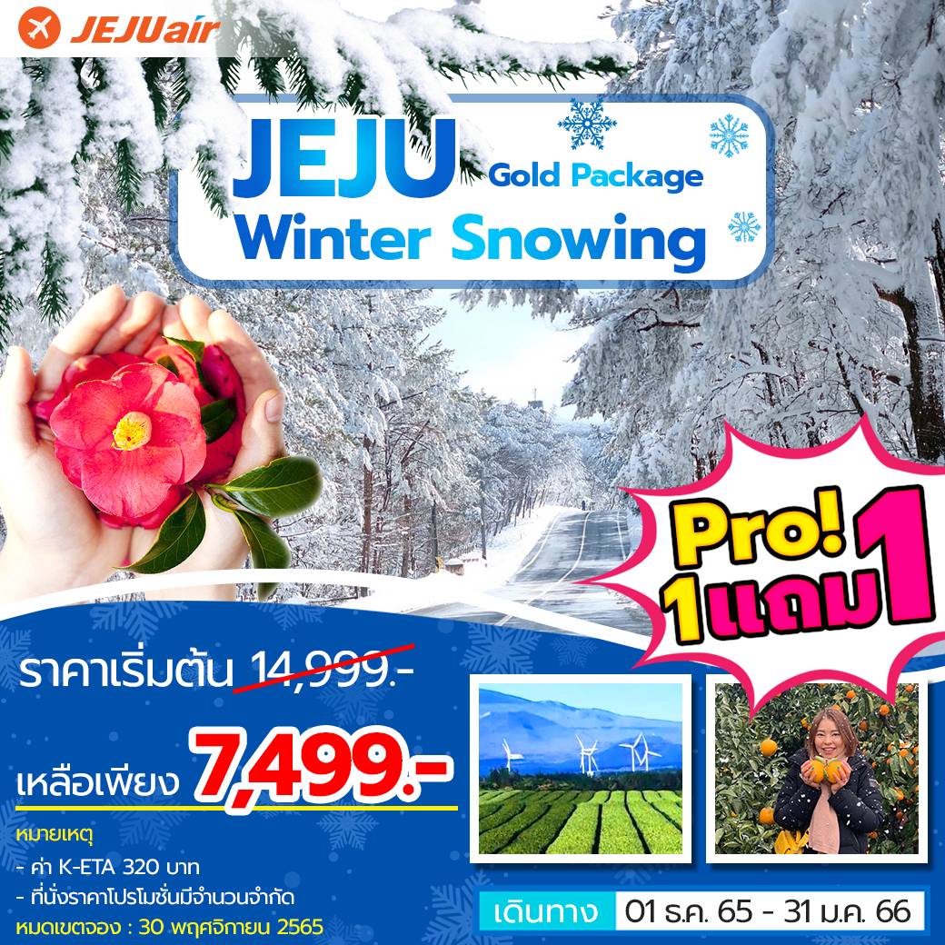 (โปรโมชั่น!!! ซื้อ 1 แถม 1) ทัวร์เกาหลี เกาะเชจู JEJU GOLD PACKAGE WINTER SNOWING 4 วัน 2 คืน