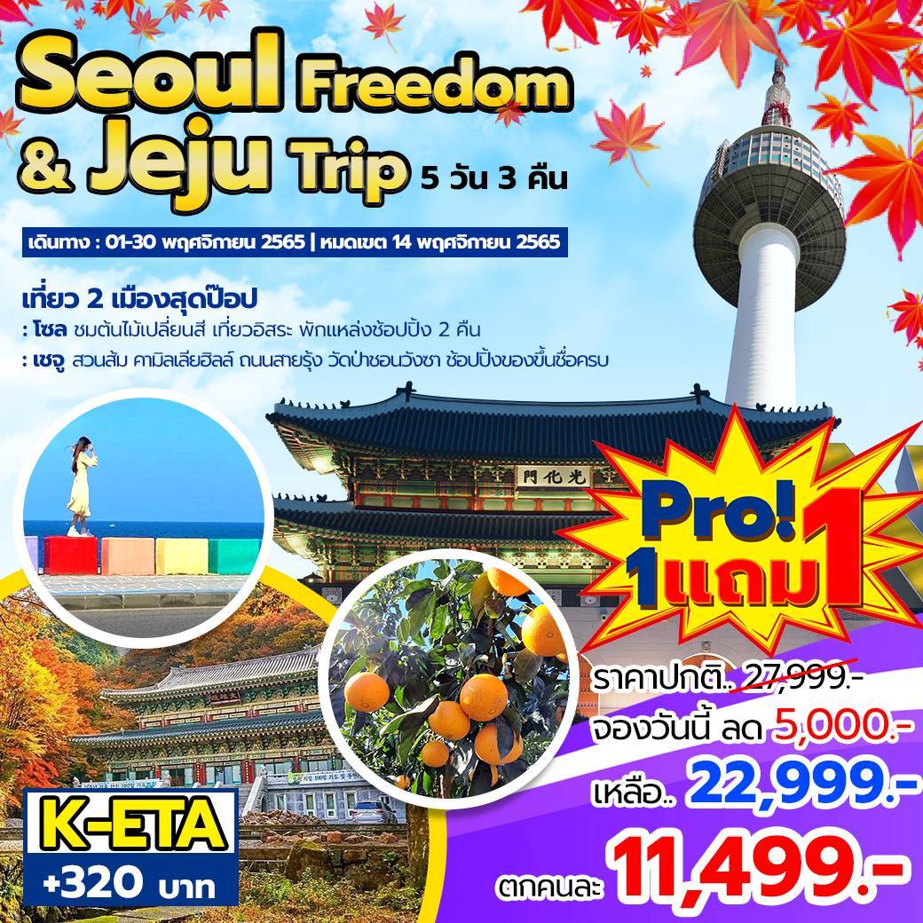 (โปรโมชั่น!!! ซื้อ 1 แถม 1) ทัวร์เกาหลี โซล-เกาะเชจู SEOUL FREEDOM & JEJU TRIP 5 วัน 3 คืน