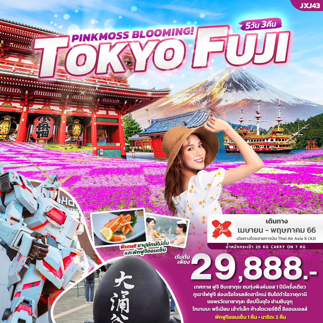 ทัวร์ญี่ปุ่น PINKMOSS BLOOMING! TOKYO FUJI  5 วัน 3 คืน