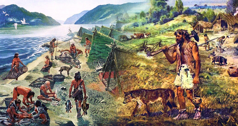 การใช้ชีวิตในยุคก่อนประวัติศาสตร์