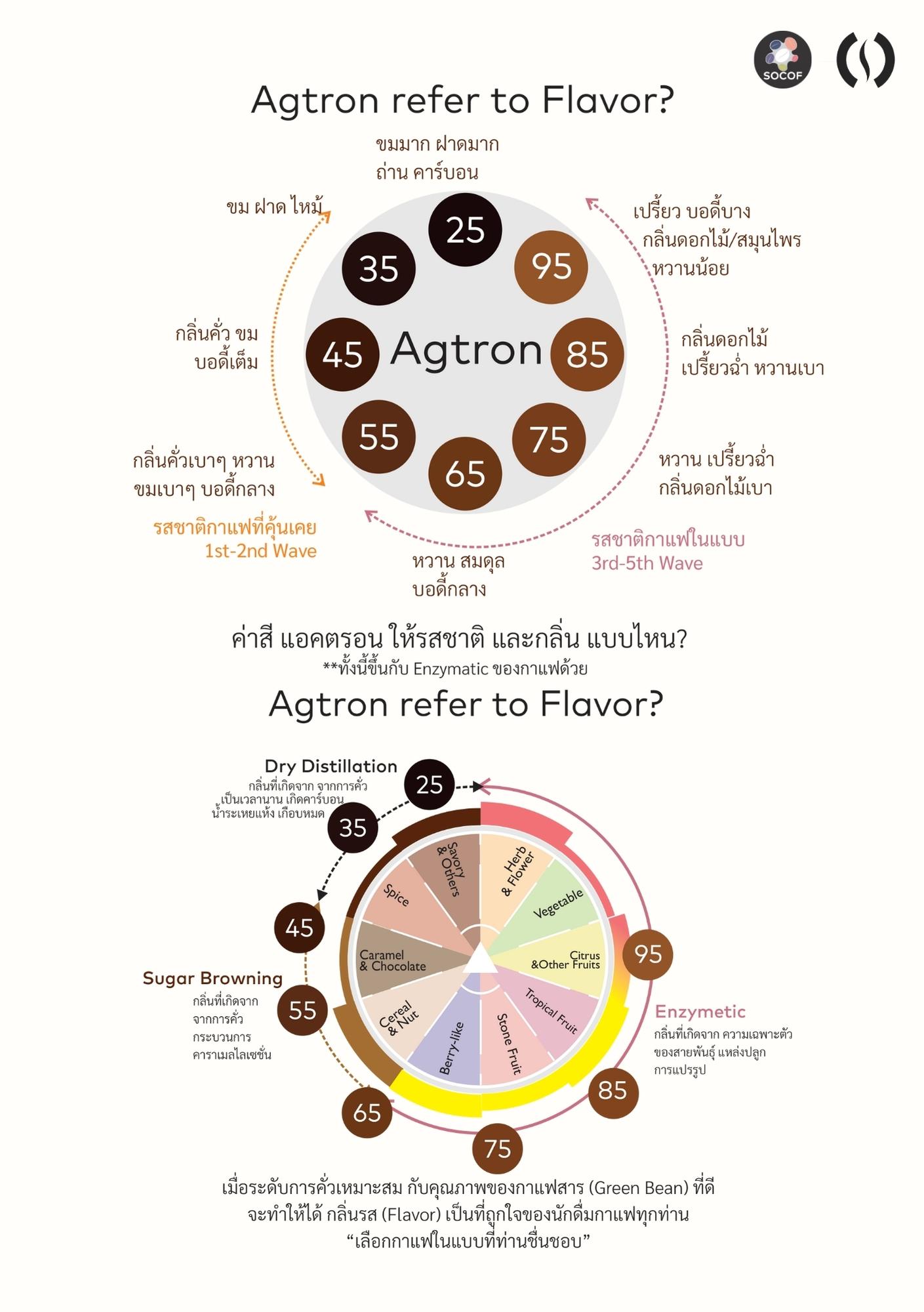 Color Chart Agatron ค่าสี Agtron คือ