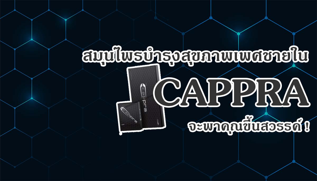 สมุนไพรบำรุงสุขภาพเพศชายใน CAPPRA จะพาคุณขึ้นสวรรค์ !