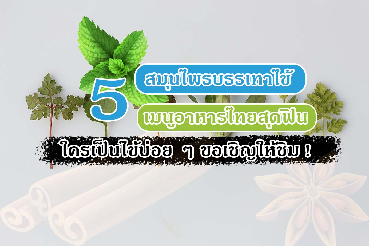 สมุนไพรบรรเทาไข้ ใน 5 เมนูอาหารไทยสุดฟิน ใครเป็นไข้บ่อย ๆ ขอเชิญให้ชิม !