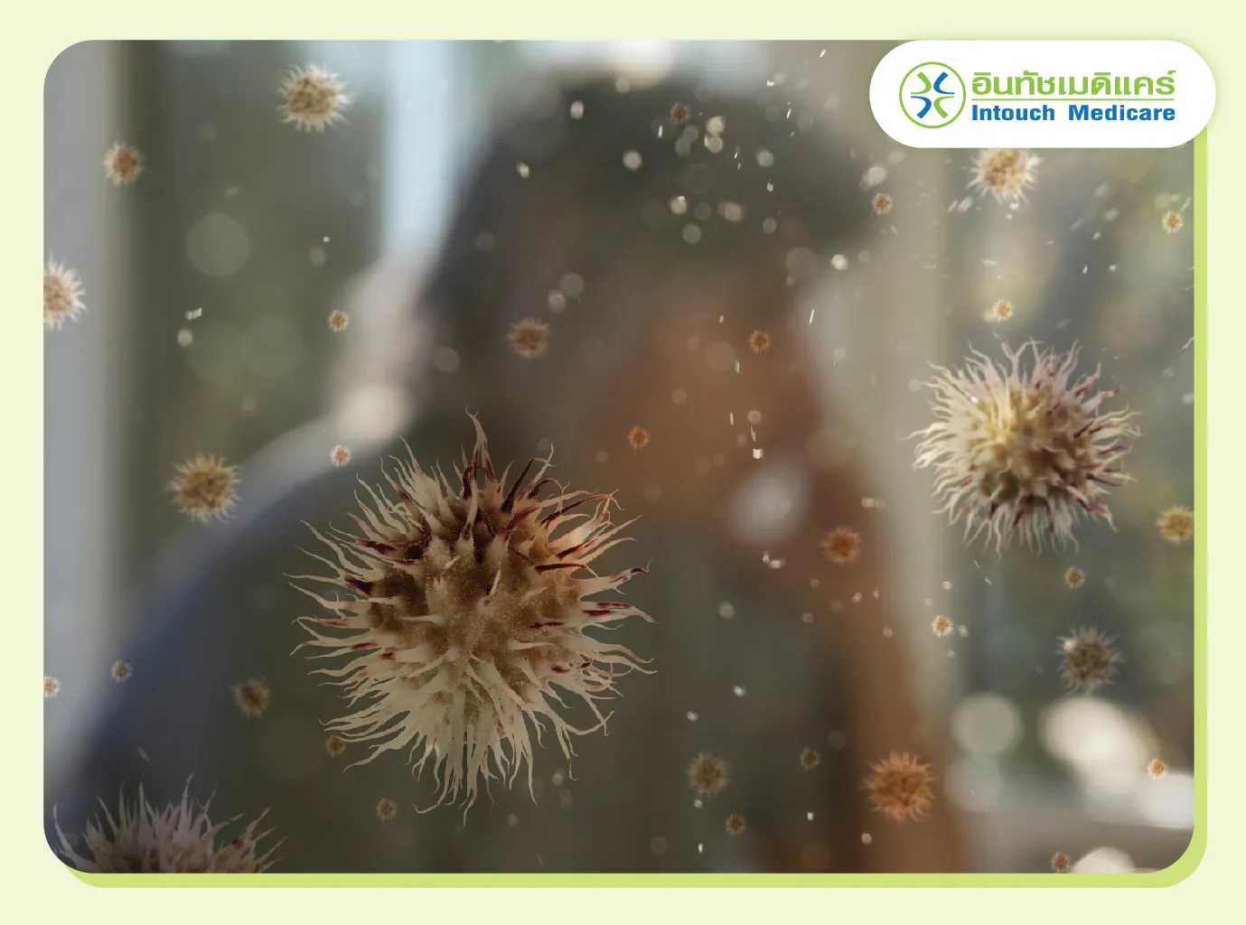 Allergens from dust mites Asthma triggers Allergens from dust mites Asthma triggers