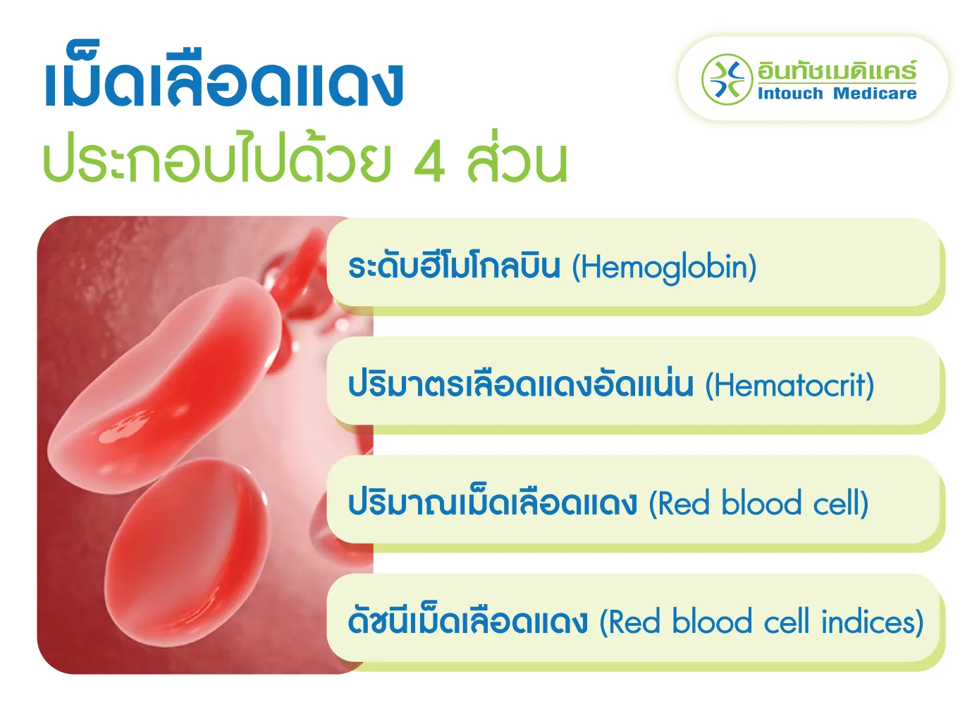 ส่วนประกอบของเม็ดเลือดแดง ส่วนประกอบของเม็ดเลือดแดง