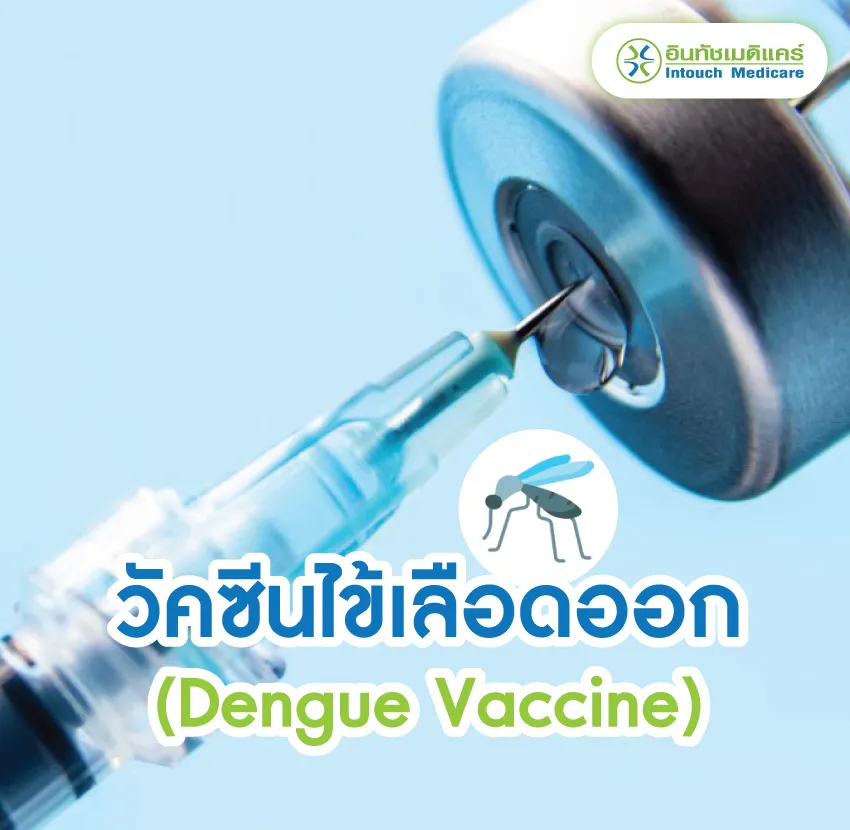 วัคซีนไข้เลือดออก QDenga วัคซีนไข้เลือดออก QDenga