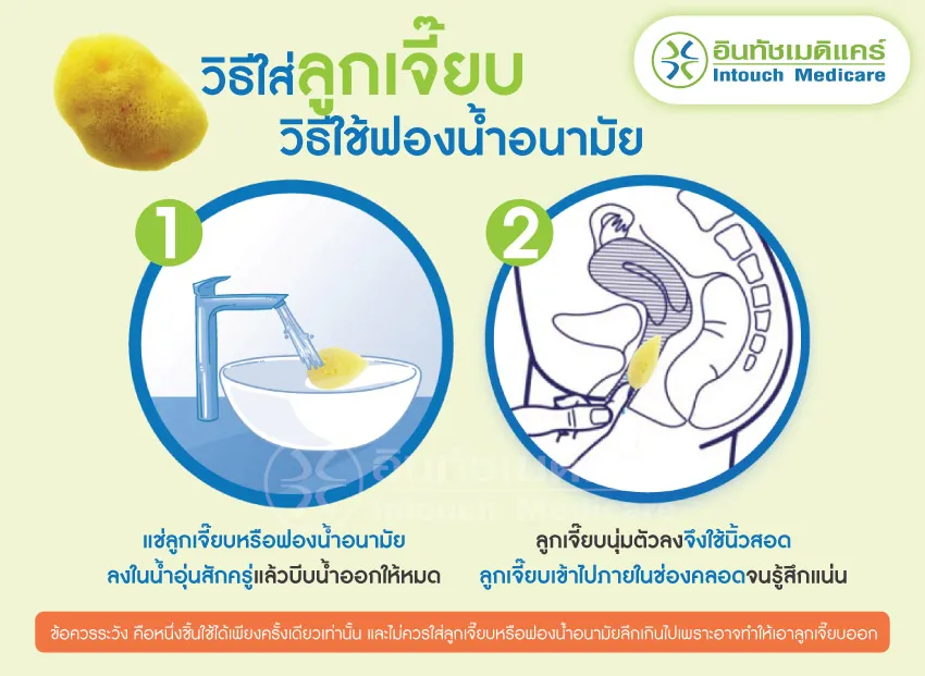 วิธีใส่ลูกเจี๊ยบ วิธีใช้ฟองน้ำอนามัย วิธีใส่ลูกเจี๊ยบ วิธีใช้ฟองน้ำอนามัย