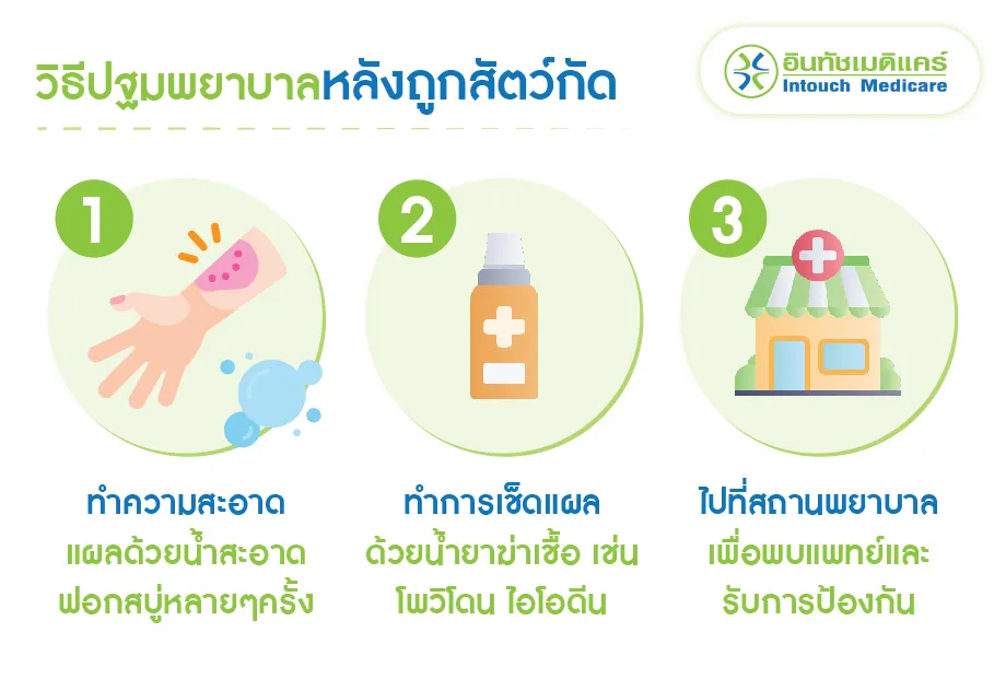 วิธีปฐมพยาบาลหลังถูกสัตว์กัด วิธีปฐมพยาบาลหลังถูกสัตว์กัด