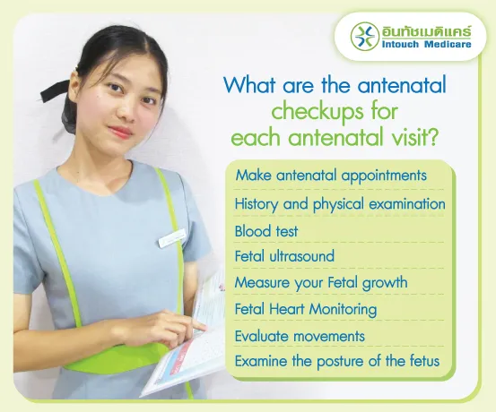 What are the antenatal check-ups for each antenatal visit?