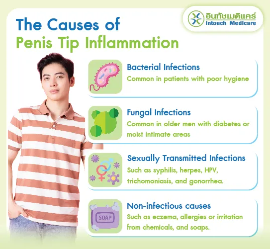 The Causes of Penis Tip Inflammation.