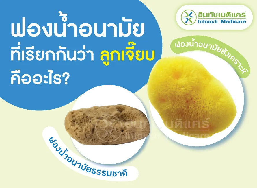 ฟองน้ำอนามัย ลูกเจี๊ยบ คืออะไร ฟองน้ำอนามัย ลูกเจี๊ยบ คืออะไร