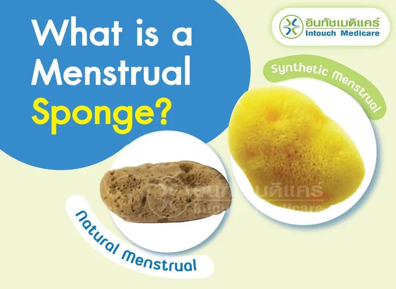 What is a Menstrual Sponge?