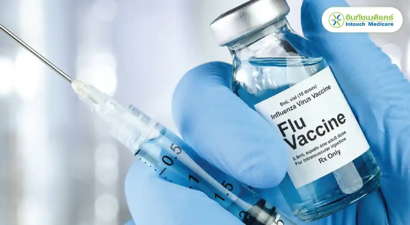 What is the Influenza Vaccine?