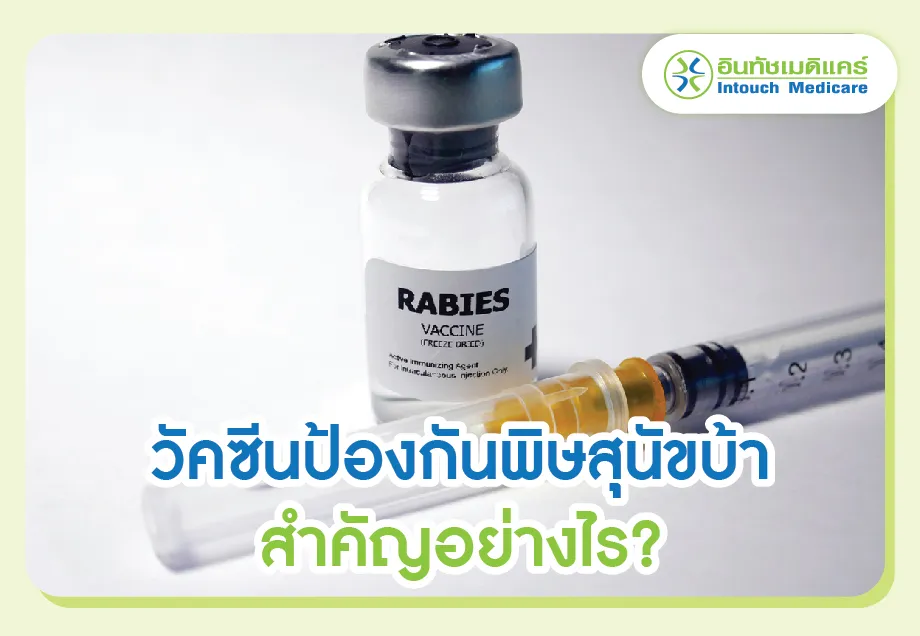 วัคซีนป้องกันพิษสุนัขบ้าสำคัญอย่างไร? วัคซีนป้องกันพิษสุนัขบ้าสำคัญอย่างไร?
