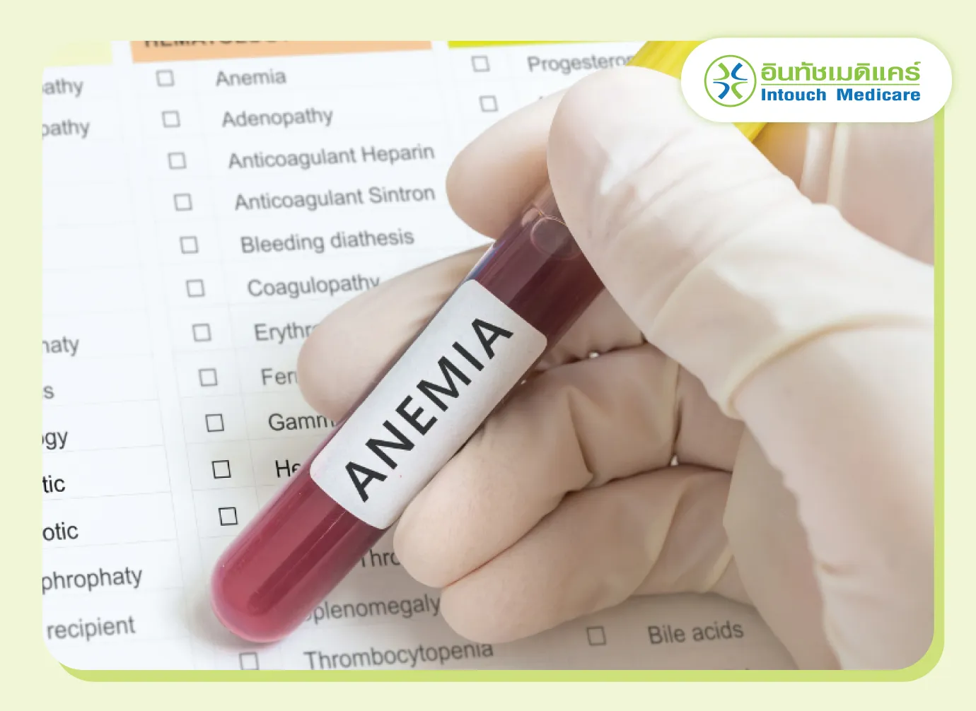 ระดับฮีมาโตคริตต่ำ เสี่ยงโลหิตจาง ระดับฮีมาโตคริตต่ำ เสี่ยงโลหิตจาง